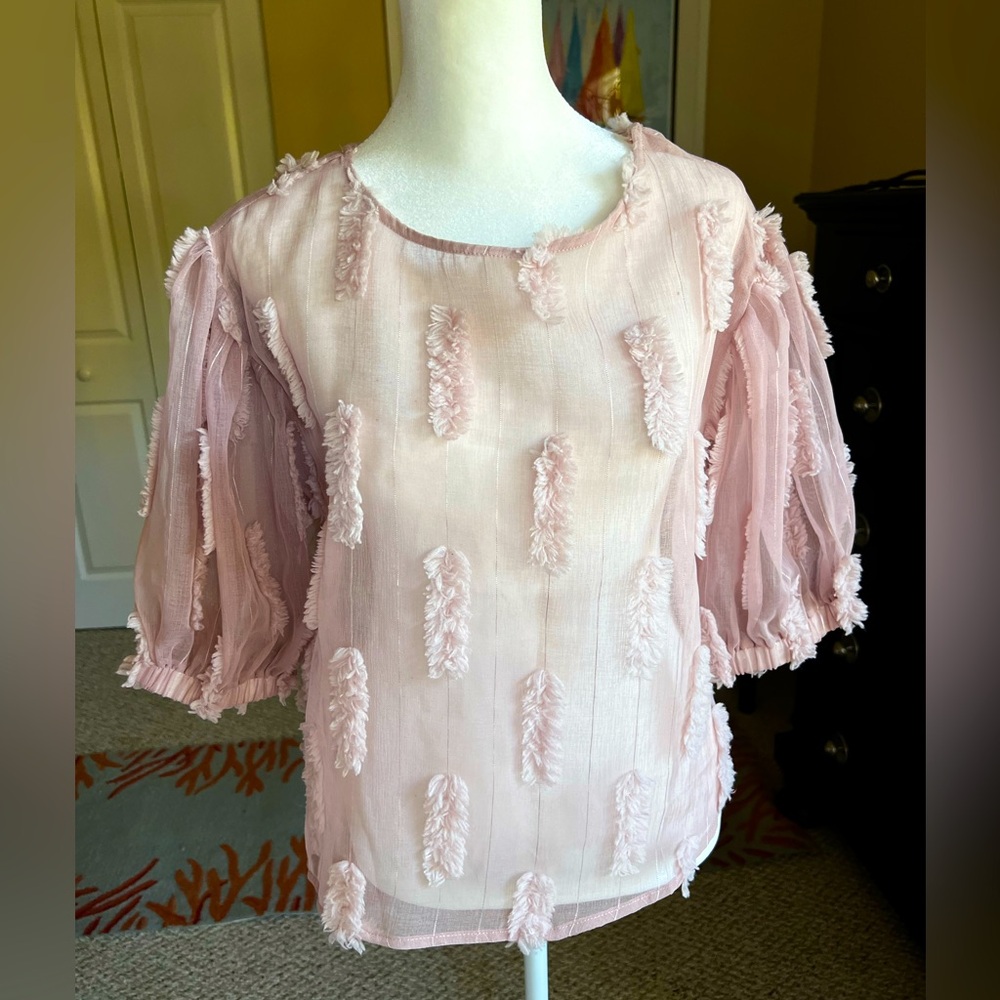 Mauve Sheer Top